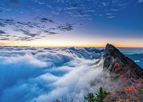  Windows10/Windows11两种打开IE浏览器的方法