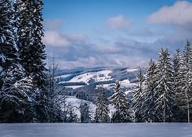  Windows10/Windows11两种打开IE浏览器的方法