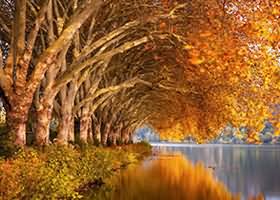  Windows10/Windows11两种打开IE浏览器的方法