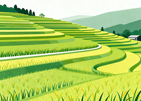 [历史 / 经济史]《美国资本主义时代》| 资本霸权四百年的权力与悖论