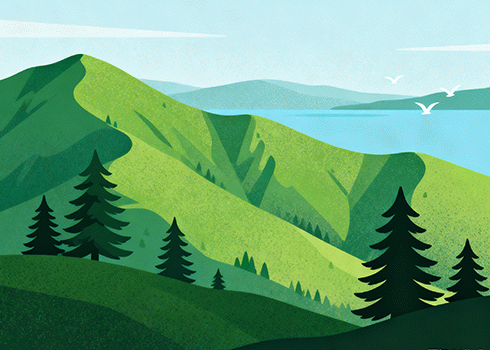 [科普读物 / 生物]《细胞拼图》| 细胞器探索的百年科学史诗