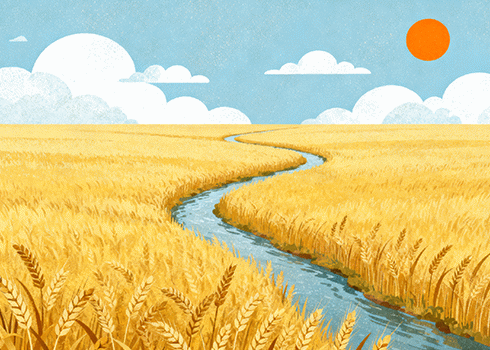 5G空间印度老牌免费图床/视频存储 ImageKit 