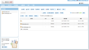 Biz.NF 1G PHP+MySql免费空间 c1.biz 的免费域名