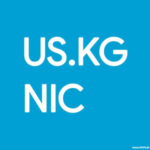 重要通知：US.KG 域名暂停及迁移至 DPDNS.ORG