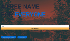 Dndns.org 免费域名开放注册，us.kg老用户也有福利