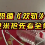 双轨全29集超前完结【4K】【完结】