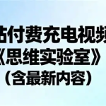 思维实验室 B站充电视频