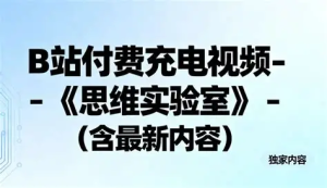 思维实验室 B站充电视频
