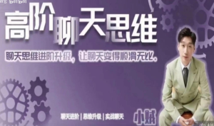 魅力男神-高阶聊天思维 视频课程