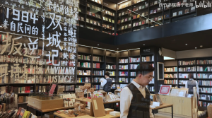 B站 - 杨宁老师的文学启示课，解锁经典作品的深层意义与审美体验