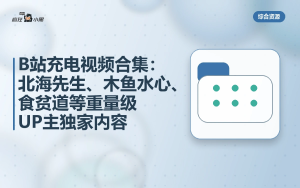 B站充电视频合集：北海先生/木鱼水心/食贫道等独家内容
