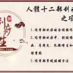 【中医课程】刘霞新版人体十二部刮痧视频课程（13集）