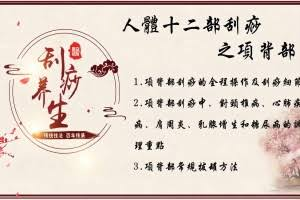 【中医课程】刘霞新版人体十二部刮痧视频课程（13集）