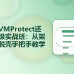 小曾VMProtect还原中级实战班:从架构到脱壳手把手教学
