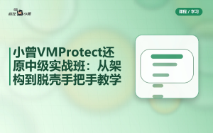 小曾VMProtect还原中级实战班：从架构到脱壳手把手教学