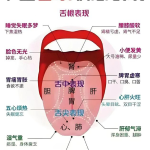 网盘下载插件  4MF Downloader V4.3, WP资源站下载模块