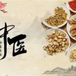 【中医课程】中医调理术 理论讲解实操手法药膳配方 讲解入门到精通