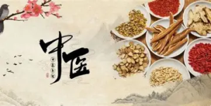 【中医课程】中医调理术 理论讲解实操手法药膳配方 讲解入门到精通
