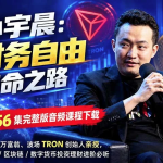 孙宇晨：财富自由革命之路 音频课程