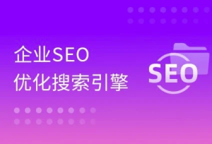 大咖带你玩转企业SEO搜索引擎优化